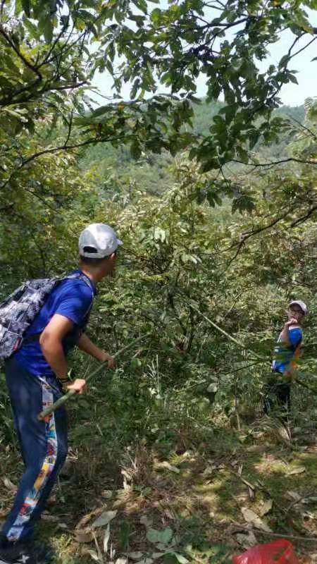 微信图片_202109131649278