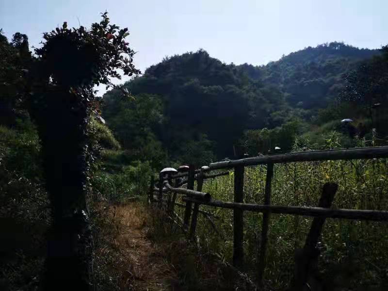 微信图片_202109131650171