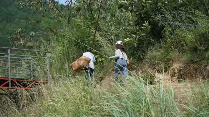 微信图片_202109131650172