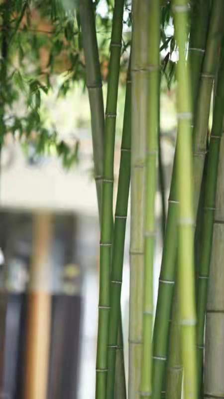 微信图片_202109131650174