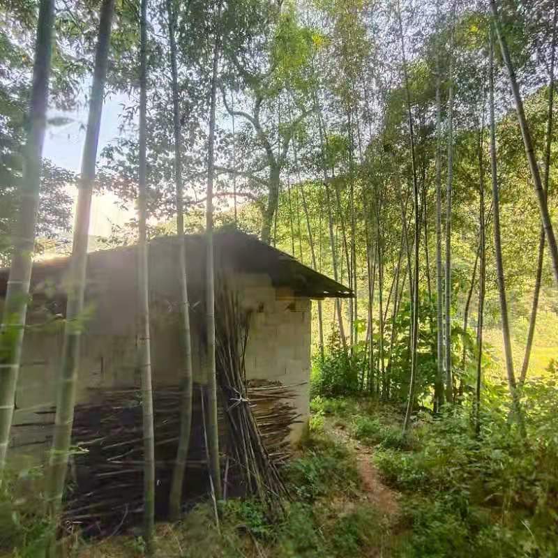 微信图片_202109131650175