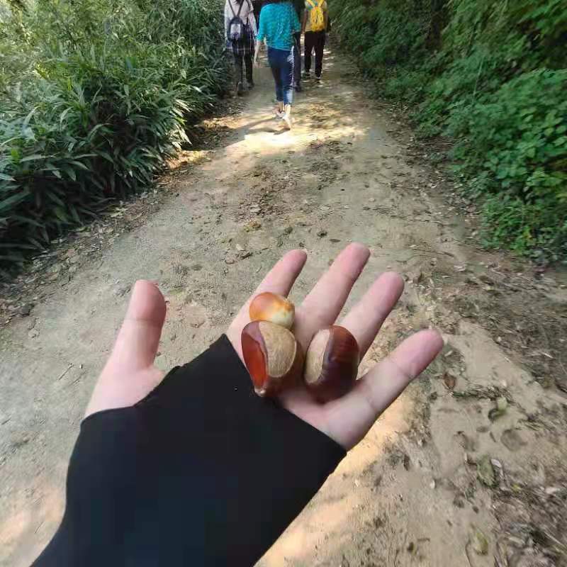 微信图片_202109131650177