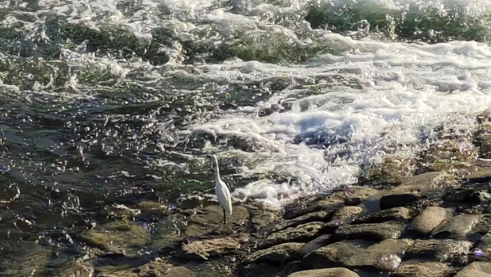 075e8a0f3a008fd87eb7cfcf0d6475c7