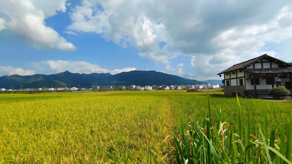 微信图片_2021100910192450