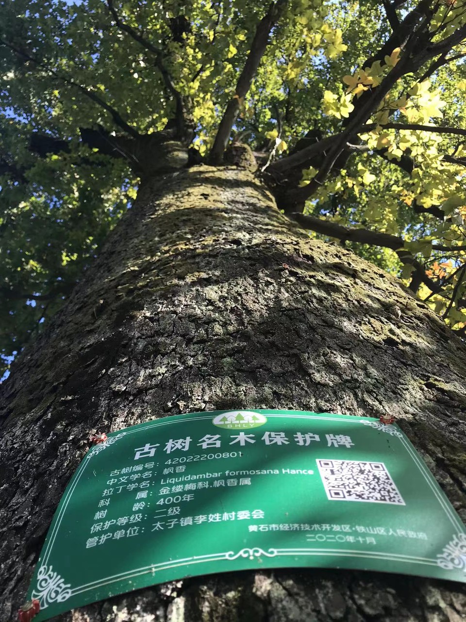 微信图片_20211115135956