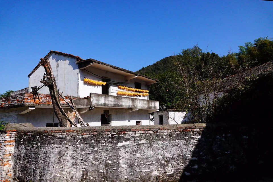 微信图片_20211115140004