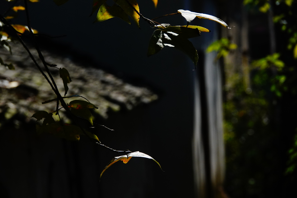 微信图片_20211115140013