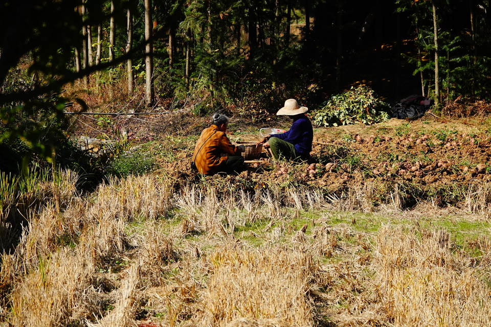 微信图片_20211115140018