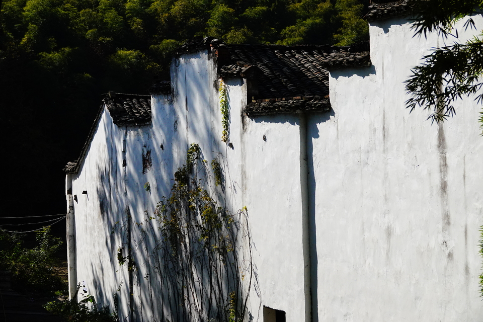 微信图片_20211115140022