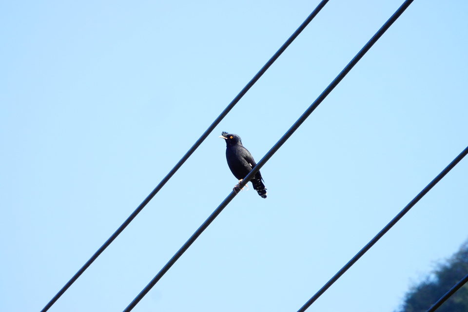 微信图片_20211115140037