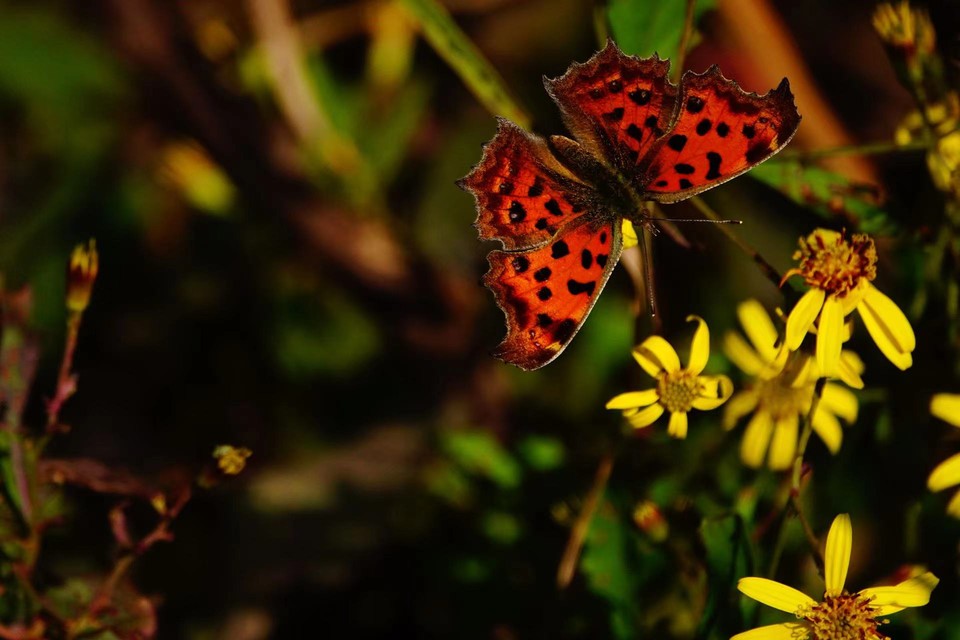 微信图片_20211115140054