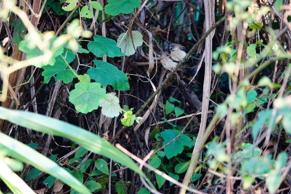 微信图片_20211115140059