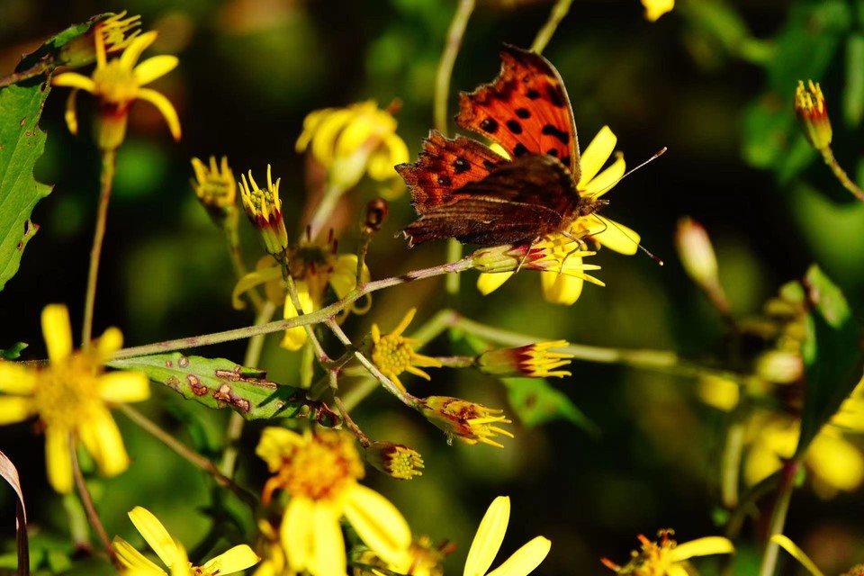 微信图片_20211115140103