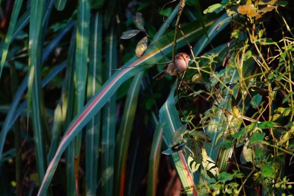 微信图片_20211115140107