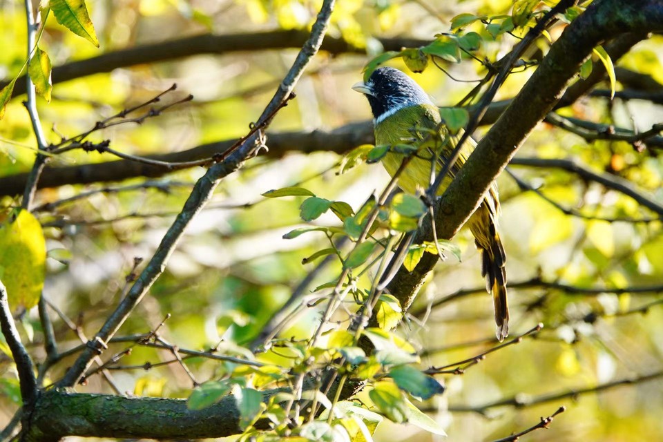 微信图片_20211115140111