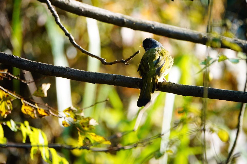 微信图片_20211115140115