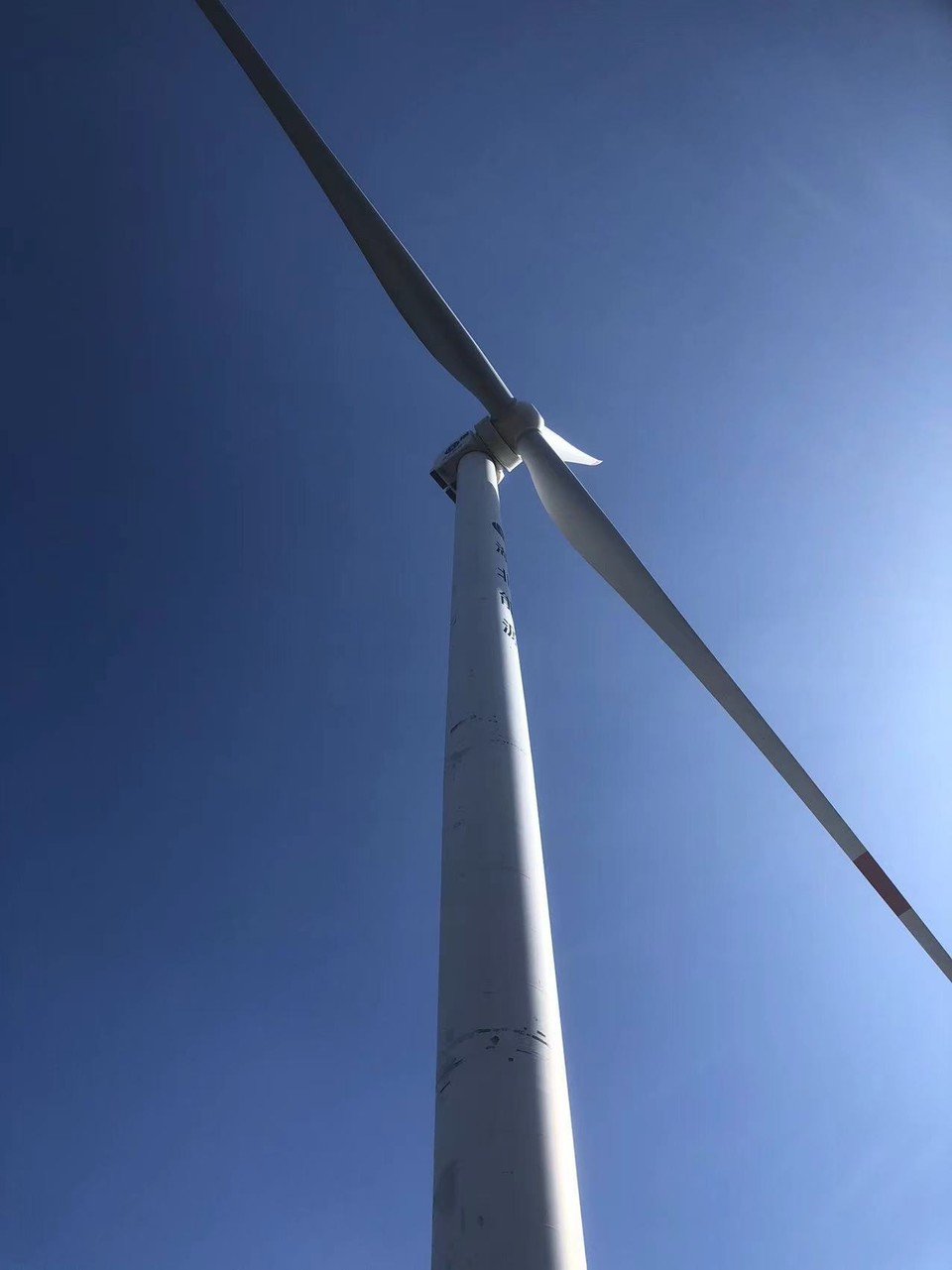 微信图片_20211115140145