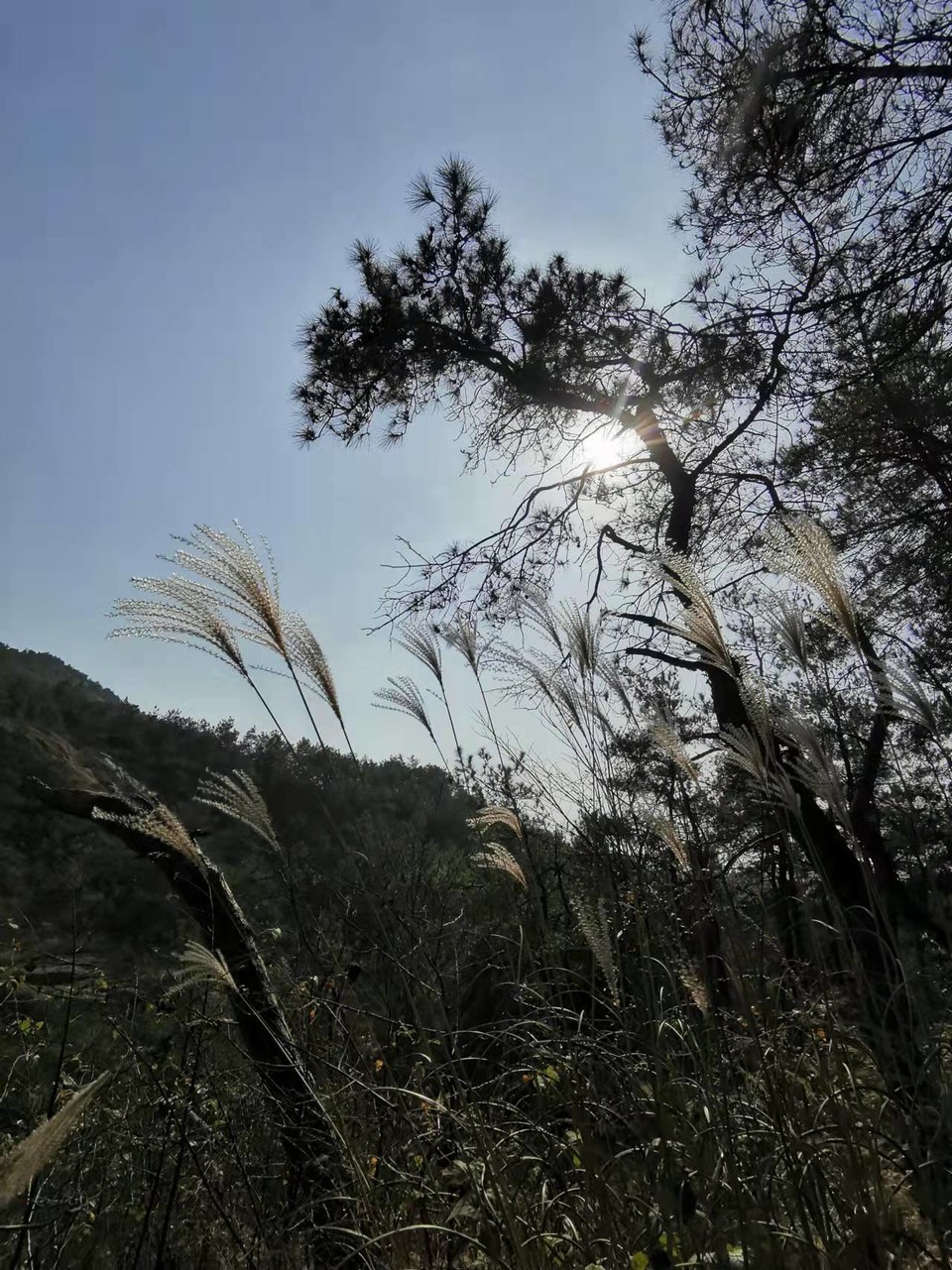 微信图片_20211129113718