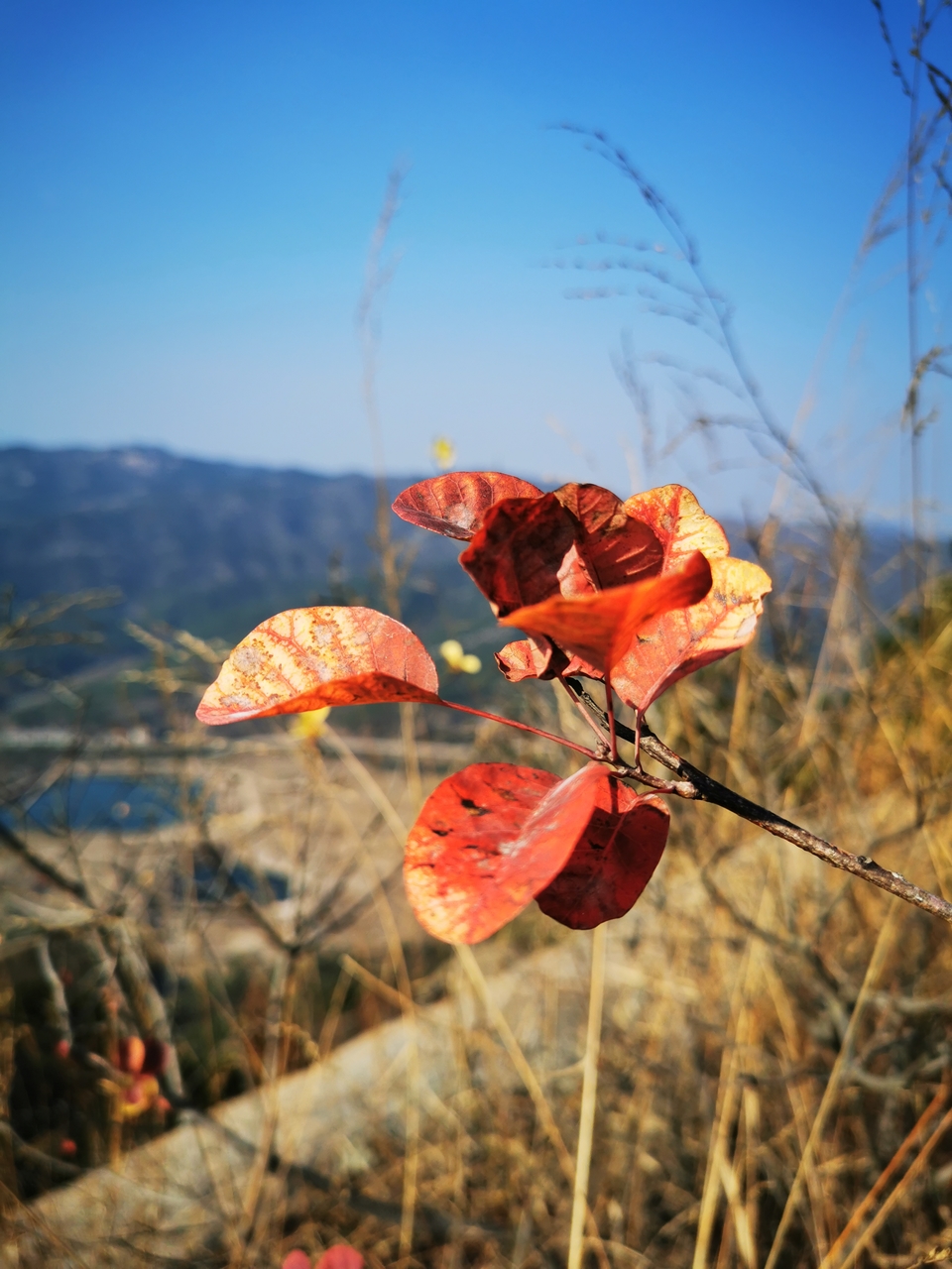 微信图片_20211129113834