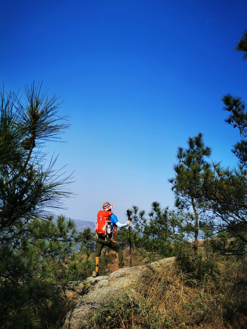 微信图片_20211129113913