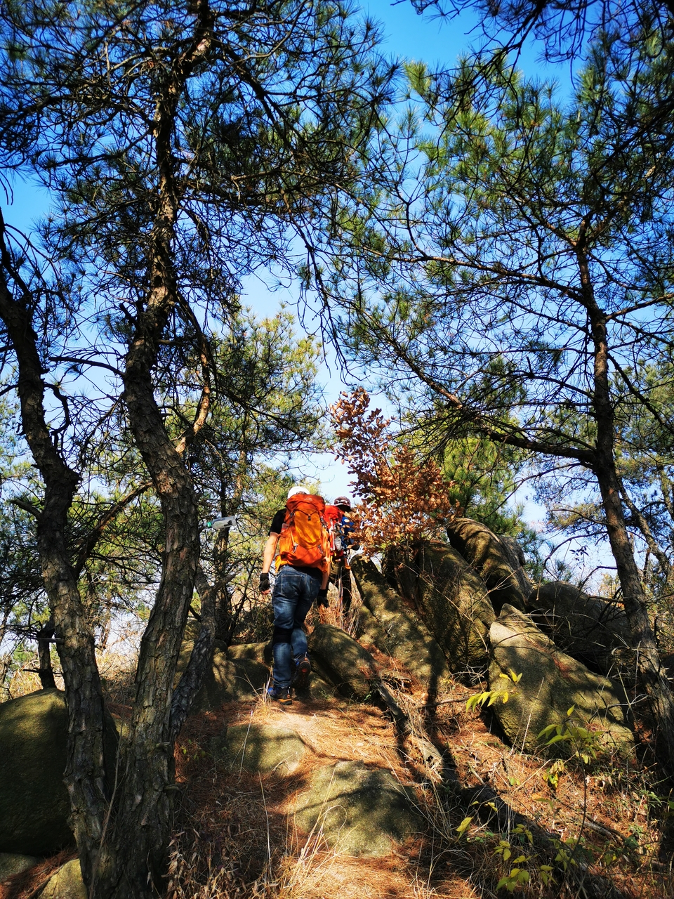 微信图片_20211129113938