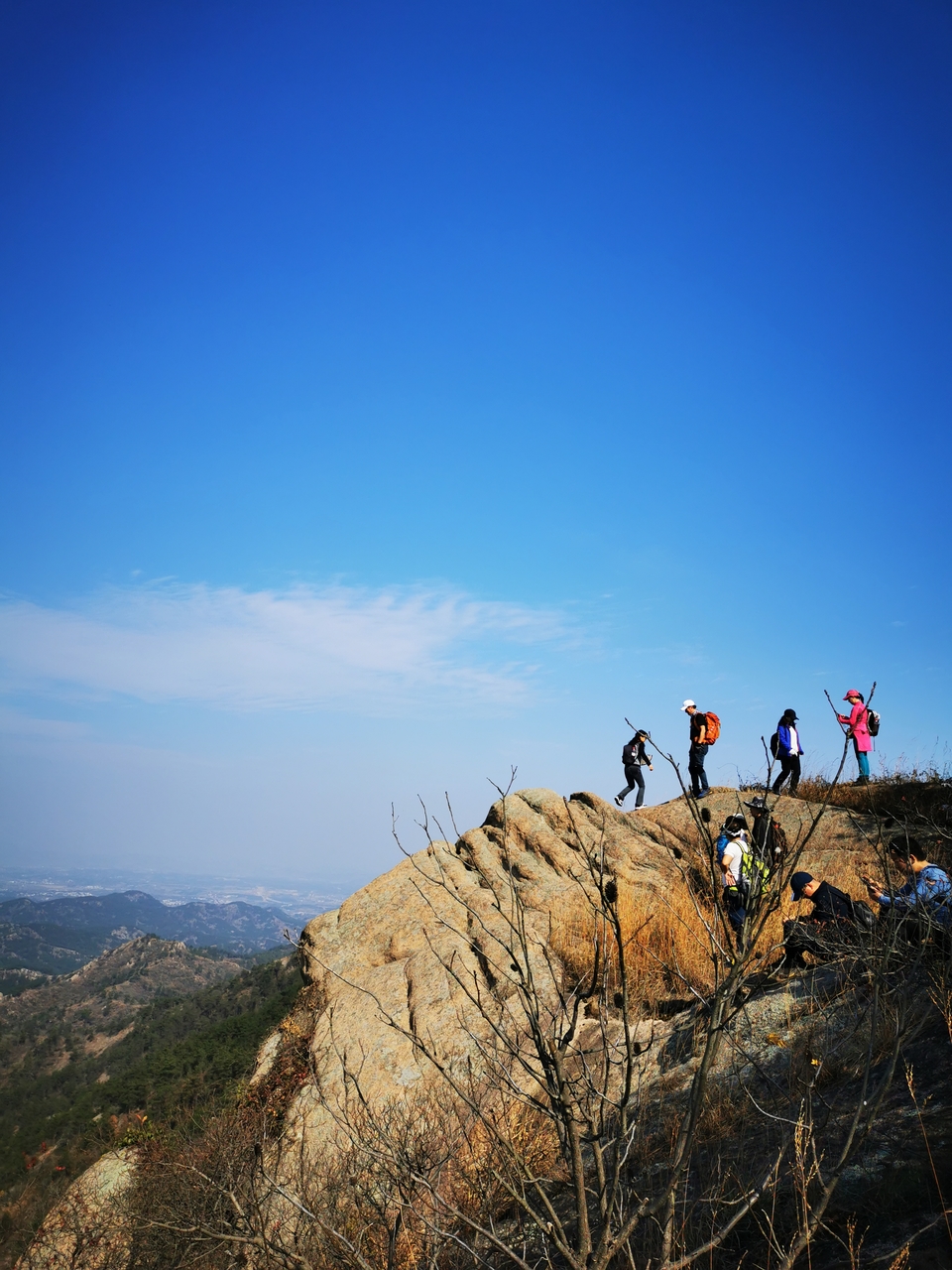 微信图片_20211129113946