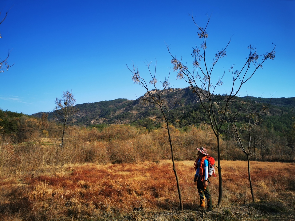 微信图片_20211129114245