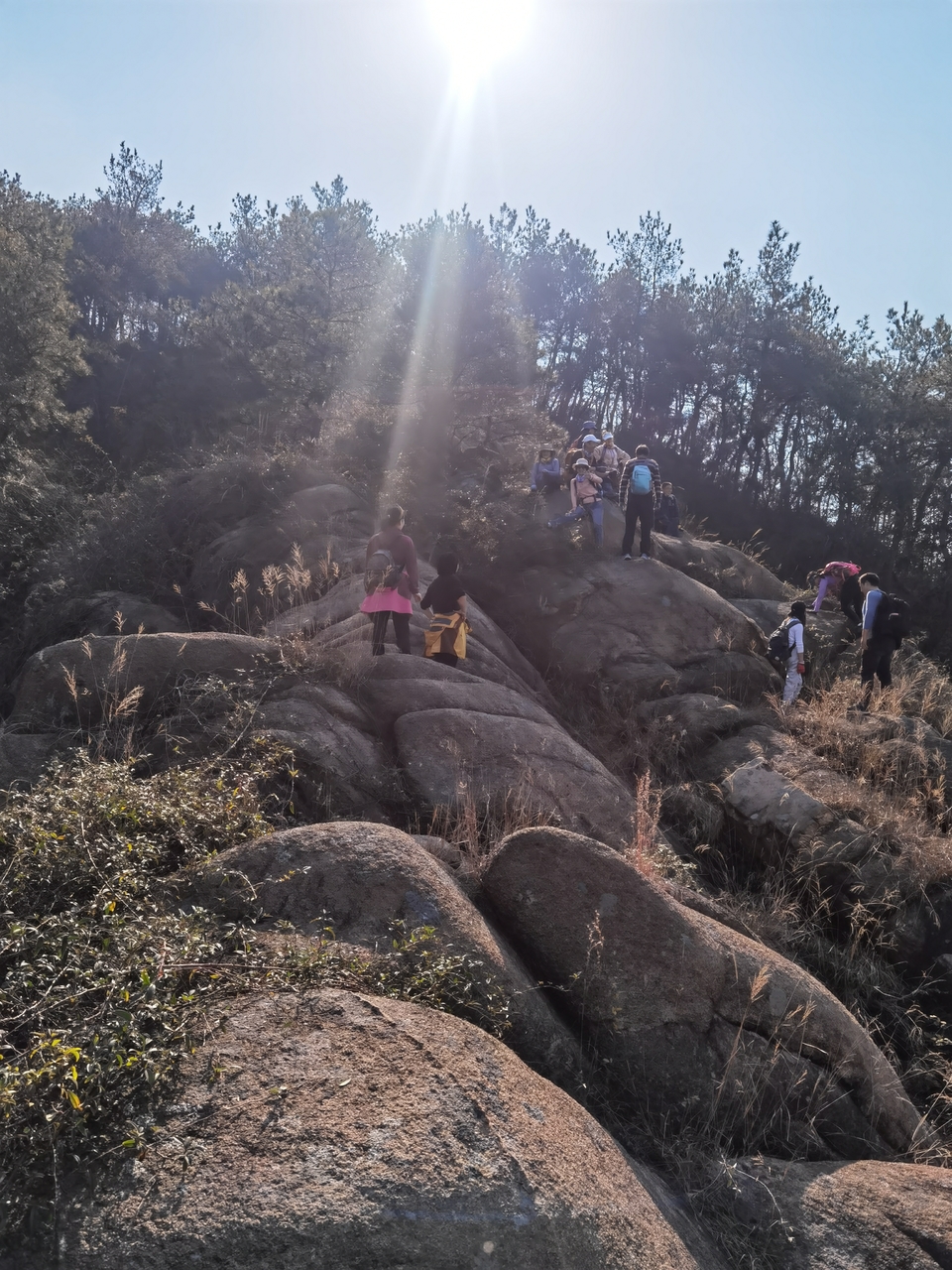 微信图片_20211129114741