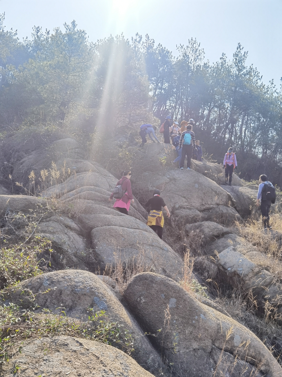 微信图片_20211129114751