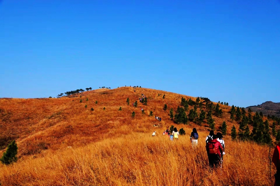 微信图片_20211207103811