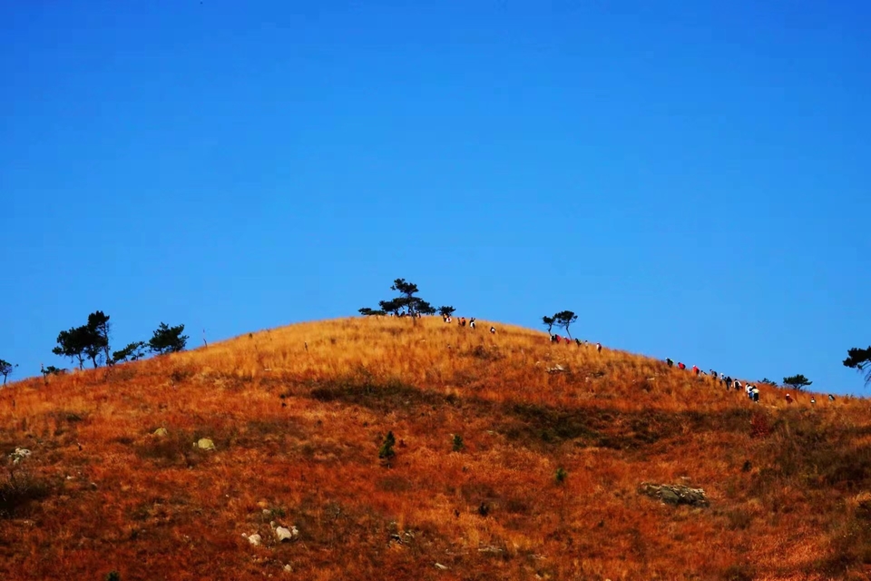 微信图片_20211207103816