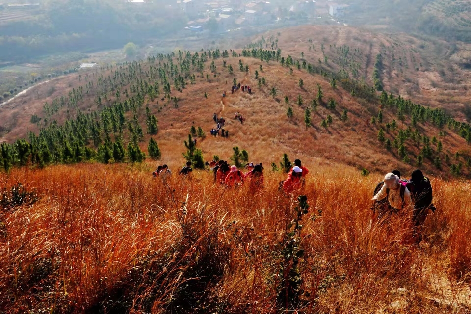 微信图片_20211207103826