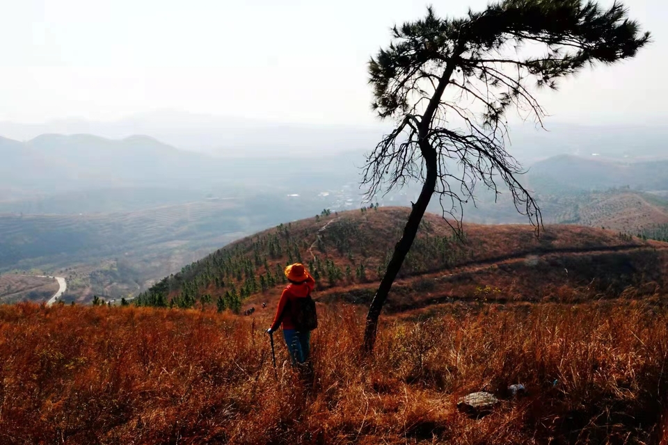 微信图片_20211207103836