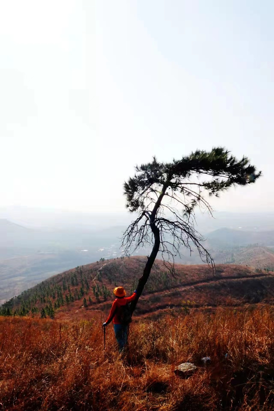 微信图片_20211207103843