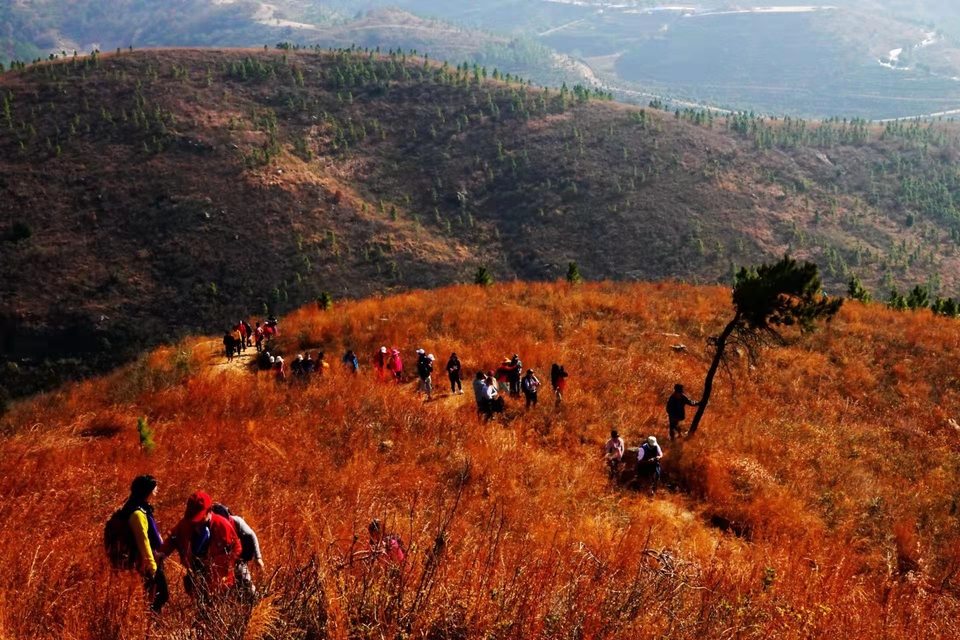 微信图片_20211207103856