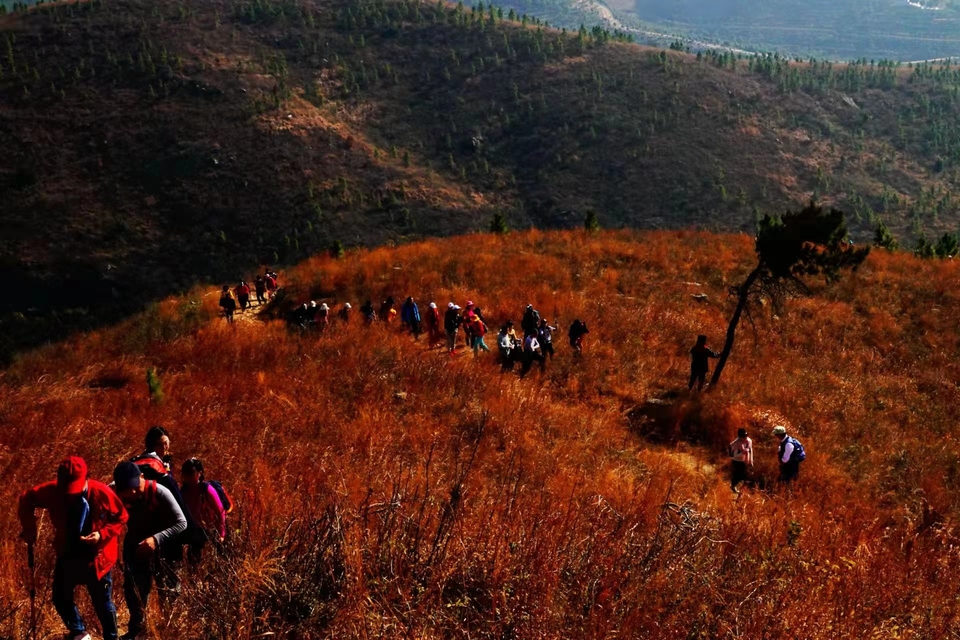 微信图片_20211207103903