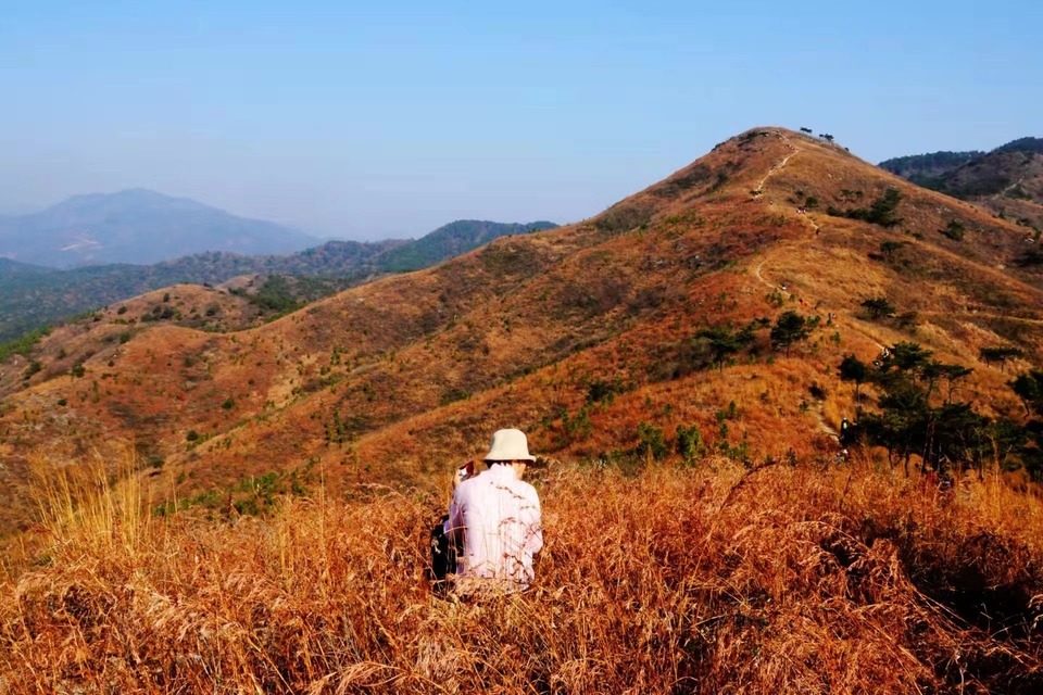 微信图片_20211207103911