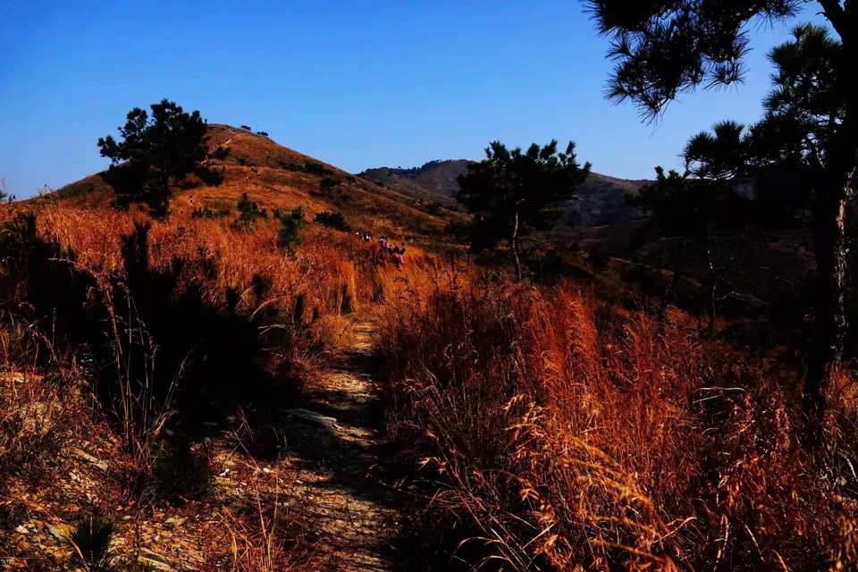 微信图片_20211207103916