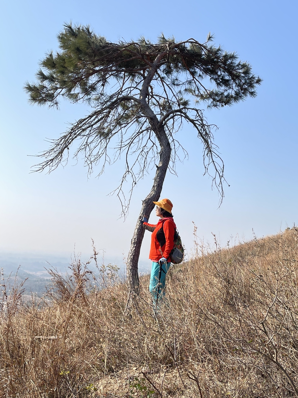 微信图片_20211207105216