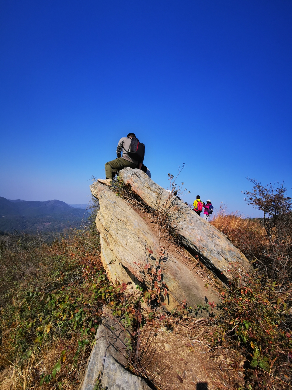 微信图片_20211207105515