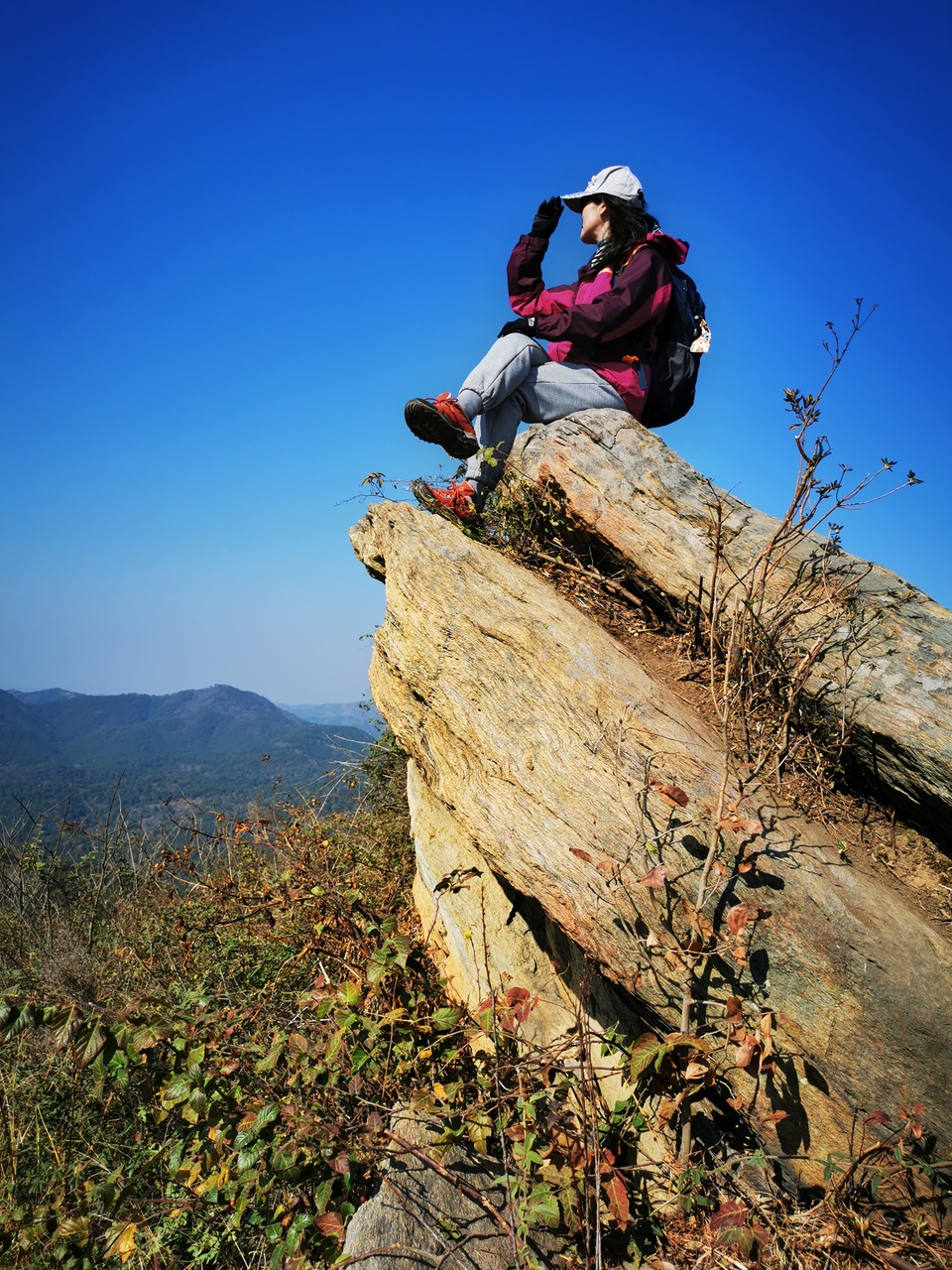 微信图片_20211207105525