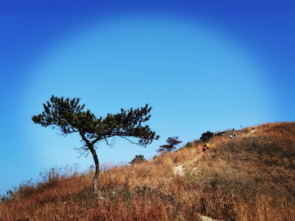 微信图片_20211207105540