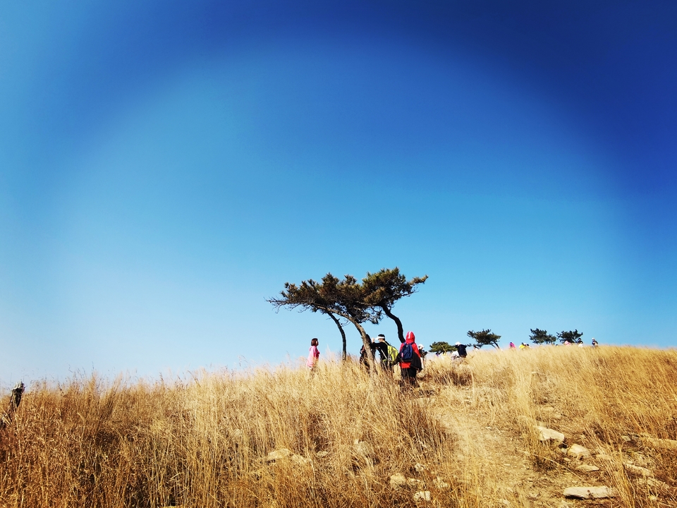 微信图片_20211207105557