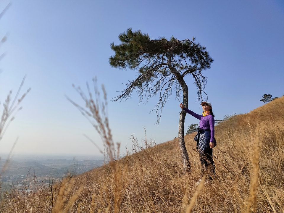 微信图片_20211207105658