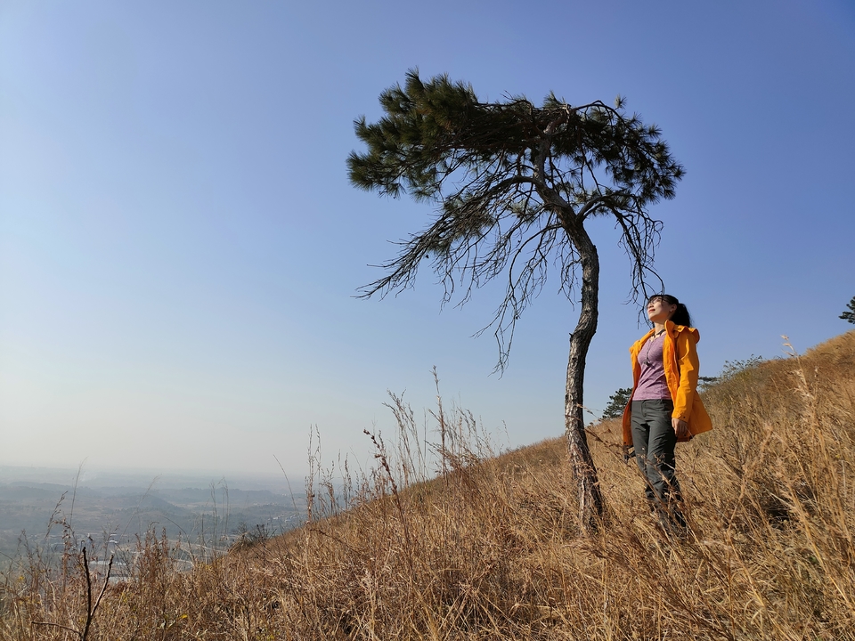 微信图片_20211207105721