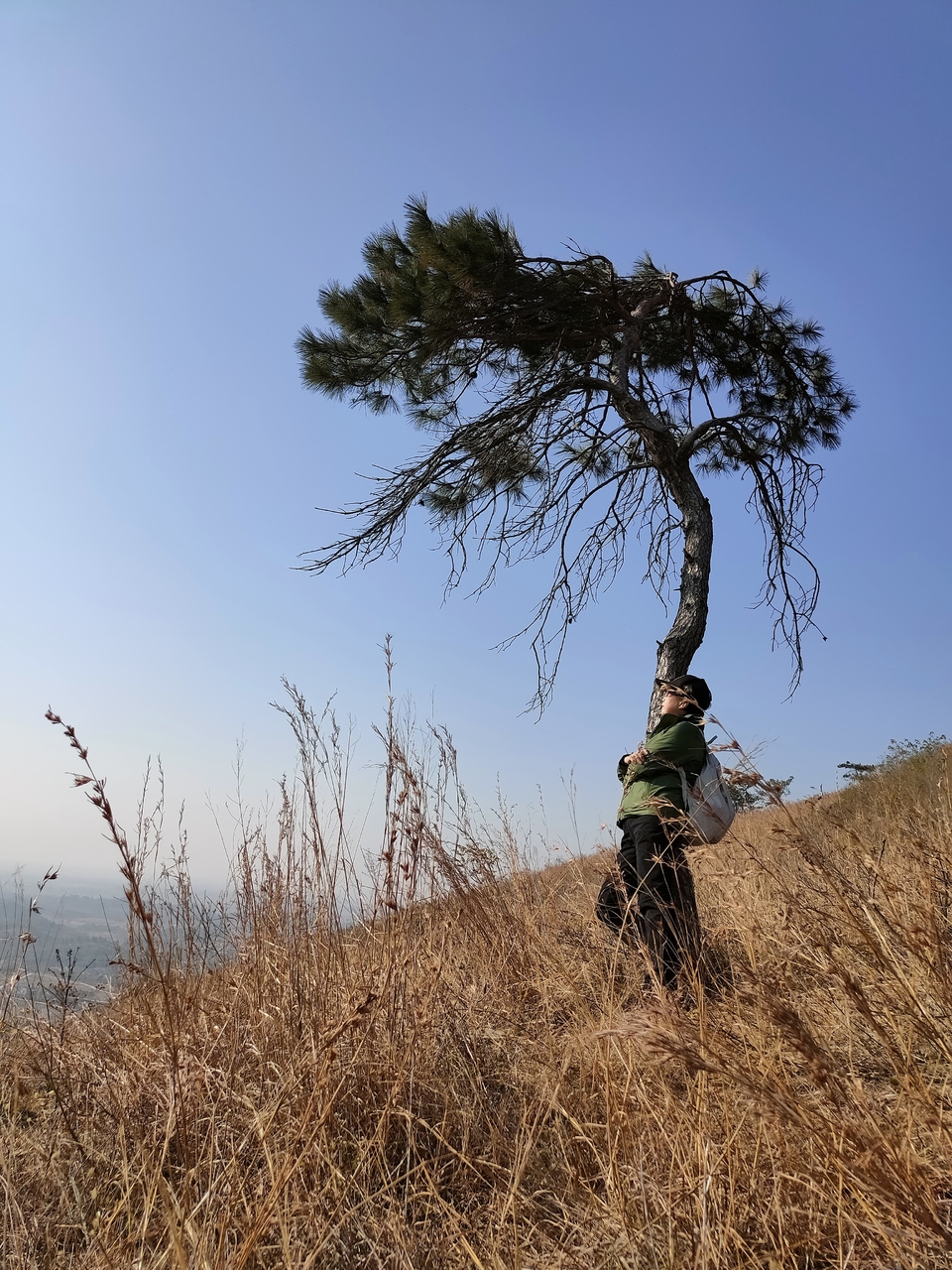 微信图片_20211207105804