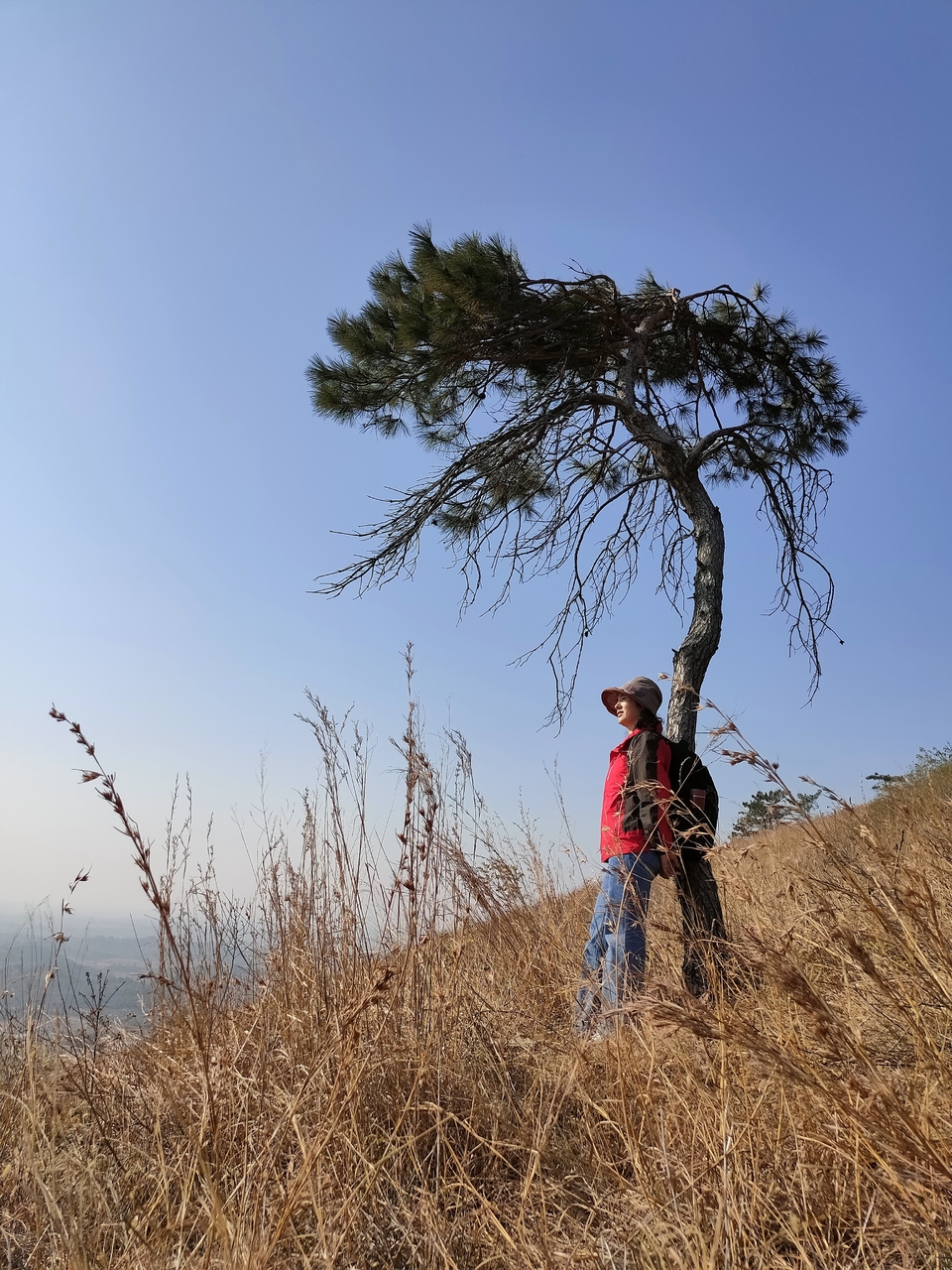 微信图片_20211207105811