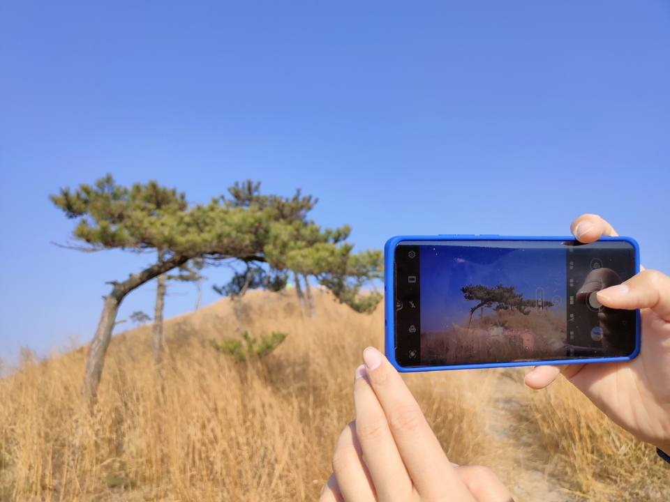 微信图片_20211207105848