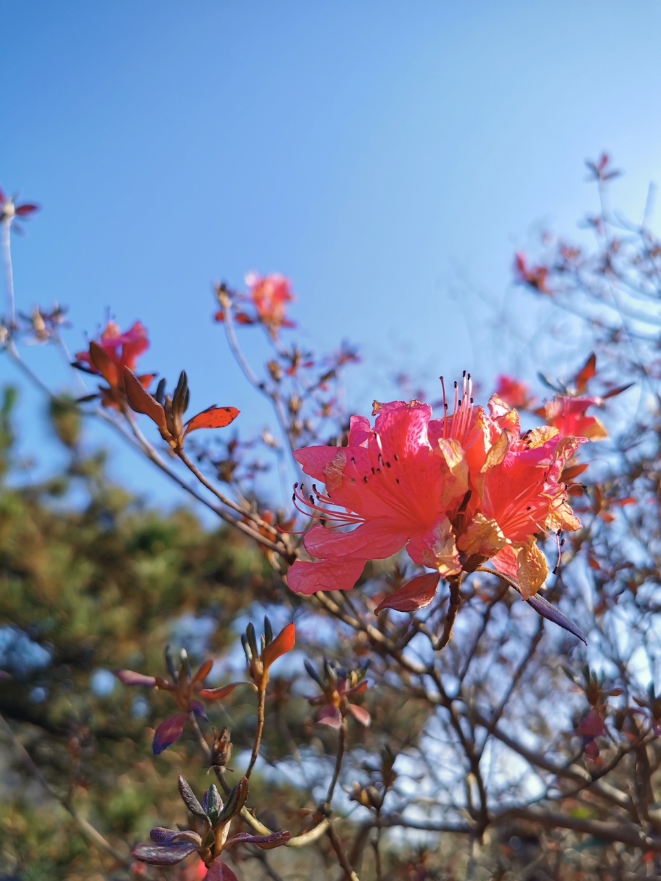 微信图片_20211207110157