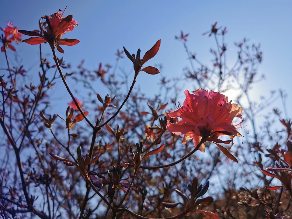 微信图片_20211207110200